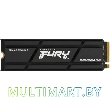 SSD диск Kingston Fury Renegade 500GB SFYRSK/500G